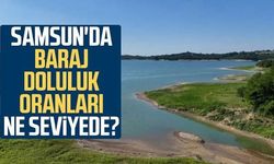 Samsun Baraj Doluluk Oranları Ne Kadar? Güncel Doluluk Seviyesi