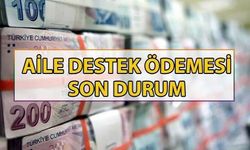 Aile Destek Ödemesi Sorgulama Nasıl Yapılır? Güncel Sorgulama Ekranı