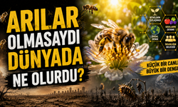 Arılar Olmasaydı Dünyada Ne Olurdu?