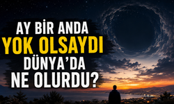 Ay Bir Anda Yok Olsaydı Dünya'da Ne Olurdu?