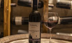 Cabernet Sauvignon Şarap Fiyat: 2026'da Hangi Marka Kaç TL?
