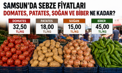 Samsun’da Sebze Fiyatları 20 Ağustos 2026: Domates, Patates, Soğan ve Biber Ne Kadar?