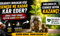Sigarayı Bırakan Kişi Senede Ne Kadar Kâr Eder? Günde 1 Paket Sigara İçen Ne Kadar Kâr Eder?