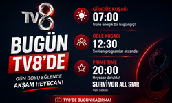 TV8 Bugün Ne Var? 12 Ağustos 2026 Gündüz Yayın Akışı