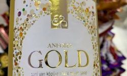 Anfora Gold Şampanya Fiyat Ne Kadar? 2026 Güncel Durum