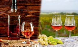 Brandy Konyak Fiyatları 2026’da Ne Kadar Oldu?