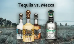 Mezcal Fiyatları 2026: Casamigos, Del Maguey ve Kurtlu Mezcal Kaç TL?
