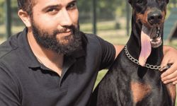 İstanbul’da Profesyonel Köpek Eğitiminin Güvenilir İsmi: Murat Güngör