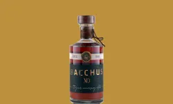 Bacchus Konyak Fiyatları: 3, 5, 6 ve 12 Yıllık Çeşitler Ne Kadar?