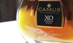 Camus Konyak Fiyat 2026: VS, VSOP, XO ve Borderies Listesi