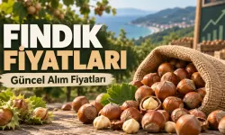 Fındık Fiyatları 12 Ekim 2026: Ordu, Giresun, Trabzon, Samsun, Düzce ve Sakarya'da Fındık Kaç TL?