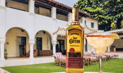 Jose Cuervo Tekila Fiyatları 2026: Silver ve Reposado Arasında Ne Kadar Fark Var?