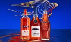 Martell Konyak Fiyat Listesi: 2026 VS, VSOP ve XO Arasında Büyük Fark