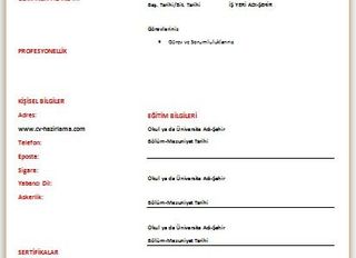 Güzel Bir CV Nasıl Hazırlanmalıdır?
