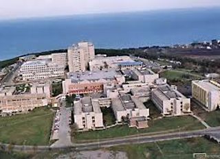 Samsun’da Öğrenci Olmak: Üniversite Hayatı ve İpuçları