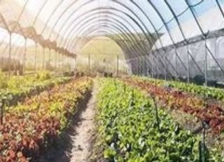 Samsun Seracılık Rehberi – En Verimli Bölgeler