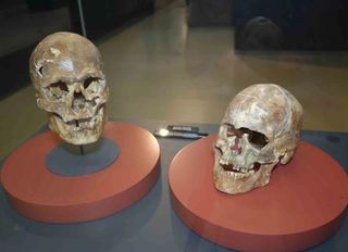 Samsun Müzesi Dolu Dolu - 5 Bin Yıllık Kafatası ve Hazineler İlgi Odağı Oldu