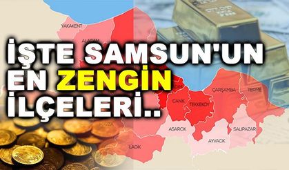 Samsun'un En Zengin İlçeleri Hangileri? Atakum, İlkadım ve Canik