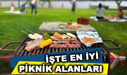 Edirne'de bulunan piknik alanları!