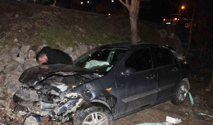 Otomobil yoldan bahçeye düştü, hamile sürücü ölümden döndü