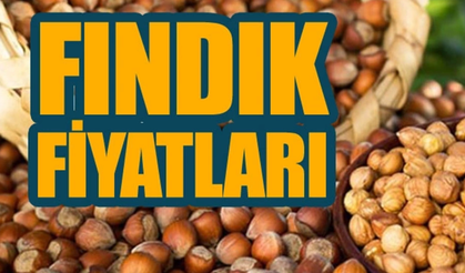 Samsun'da Fındıkta Hafif Kıpırdanma! Üretici Temkinli Seviniyor