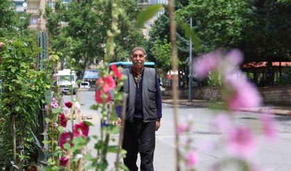 60 yıldır öyle bir bitki yetiştirdiki