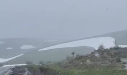 Ardahan’ın yüksek kesimlerinde kar ve sis etkili oldu