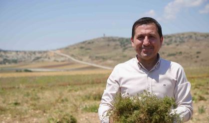 Kilis’te kimyon hasadı başladı