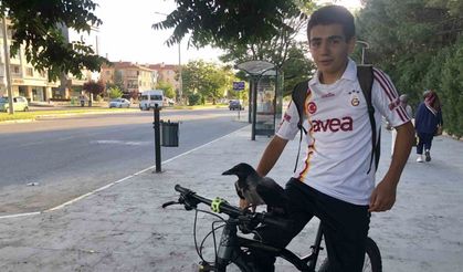 Erzincan’da karga ile lise öğrencisinin dostluğunu görenler imreniyor