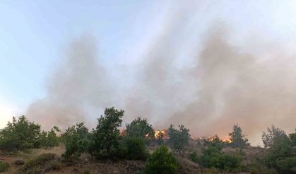 Kızılçam ormanında korkutan yangın