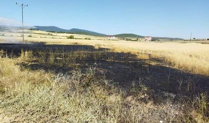 Sinop’ta buğday tarlasında yangın