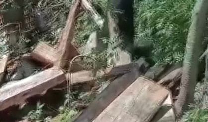 Sinop’ta filmleri aratmayacak hırsızlık olayı: Tahıl ambarı çalındı