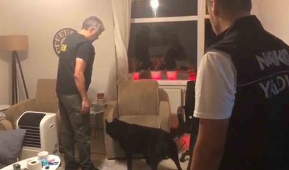 Yalova’da uyuşturucu operasyonlarında: 1 tutuklama