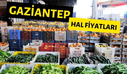 Yerel Tadlar, Uygun Fiyatlar: Gaziantep Hal Fiyatlarıyla Güncel Liste!