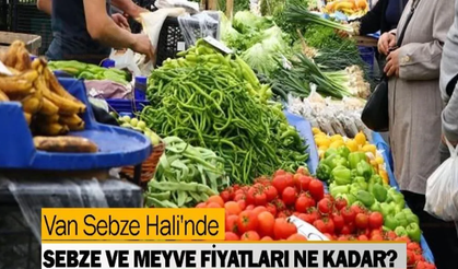 En Güncel Van Hal Fiyatları!