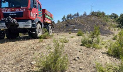 Samsun’da örtü yangını