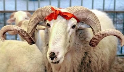 2026 Kurban Bayramı Tatili 9 Gün Olur mu? Bayram Tatili Ne Zaman Başlıyor?