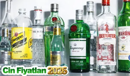 Cin Fiyatları: 2026 Güncel Tam Liste Markalar ve Çeşitler