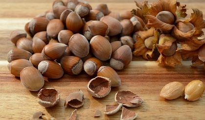 Güncel Fındık Fiyatları: İl Ve İlçe Bazlı Tam Liste (26 Ocak 2026)