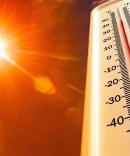 Türkiye kavruluyor: Kurtalan'da sıcaklık 46,9 dereceye çıktı