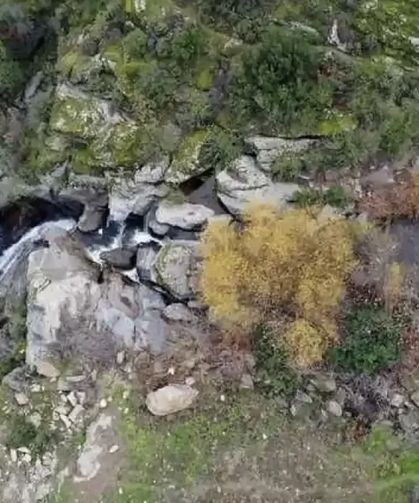 Aydın’ın En Huzurlu İlçesi: Bozdoğan, Doğal Güzellikleri ve Sakin Yaşamı ile Öne Çıkıyor