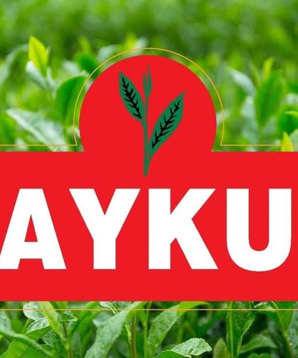 ÇAYKUR 1500 Mevsimlik İşçi Alımı Yapacak! Başvurular Başladı