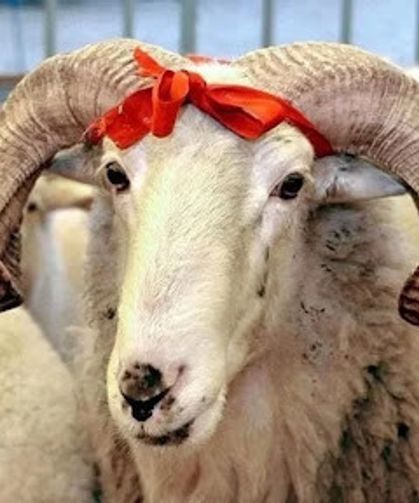 Bayram Tatili 9 Gün Olacak mı? Bakan Sinyali Verdi, Herkes Kabine’yi Bekliyor