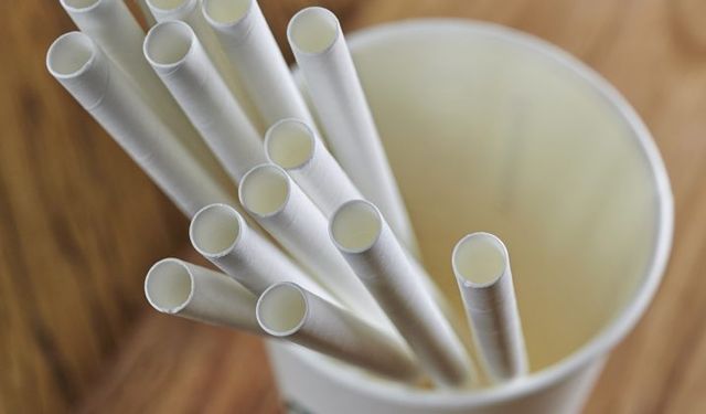Kağıt bardak ve pipetler, plastikler kadar zararlı olabilir