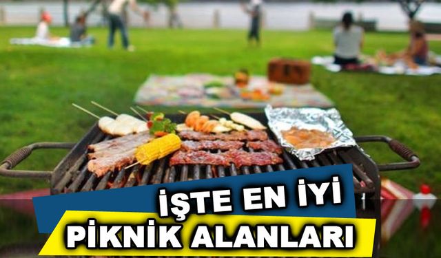 İzmir'de bulunan piknik alanları!