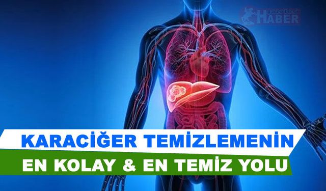 Karaciğer Nasıl Temizlenir? Detoks Gerçeği ve Pancarın Etkisi