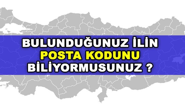 Bursa ilinin posta kodları