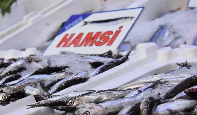 Balık Stoklarında Çöküş: Av Yasağı Sonrası Fiyatlar Tavan Yaptı