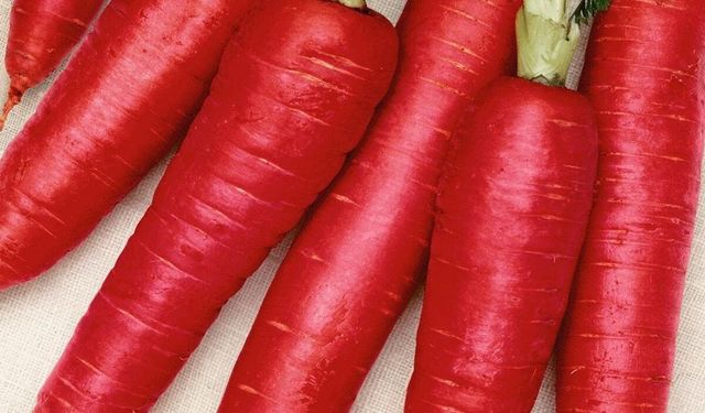 Kırmızı Havucun Faydaları Neler? Likopen İçeriği Dikkat Çekiyor