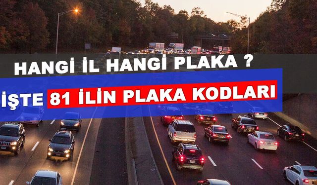 16 hangi ilin plaka kodu ?